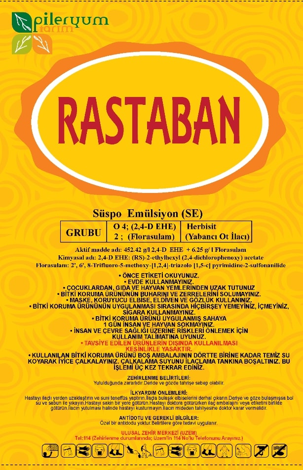 RASTABAN